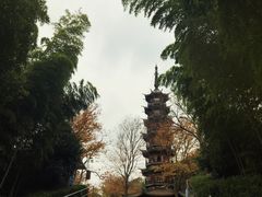 -上海佘山国家森林公园西佘山园