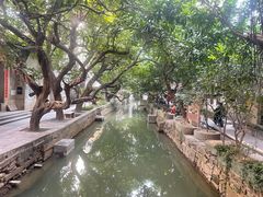 -小洲村