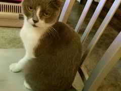 -MIKAKU(万达广场上海宝山店)