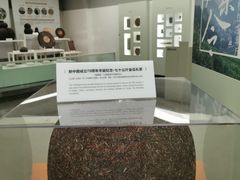 -中国茶叶博物馆(双峰馆区)