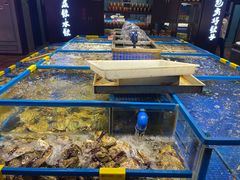 水产区-十二海鲜(南湖店)