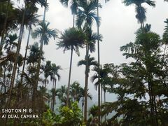 -优游吧斯邹族文化部落