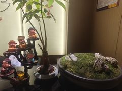-耳湾躺式采耳SPA馆(保利五月花店)