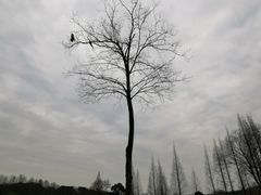 -宜兴龙背山森林公园