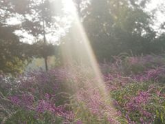 -浙江农林大学(东湖校区)