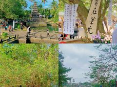 -美亭美榔姐妹塔