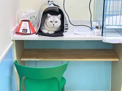 -天宠宠物医院24小时·急重症诊疗中心·全科·腔镜特色(和平分院)