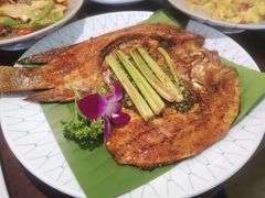 -紫滇源云南生态菜(丹凤街店)