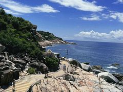 -广东惠东海龟国家级自然保护区