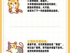 -美联众合动物医院·24h转诊中心