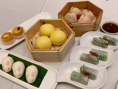 -粤江春·早茶·潮粤菜·宴会(罗湖宝能中心店)