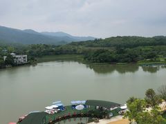 -森波拉奇妙世界