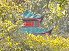 -岳麓山风景名胜区