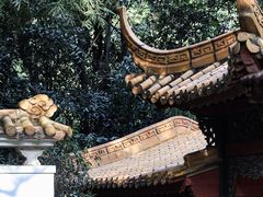 -广州兰圃