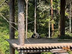 -碧峰峡风景区