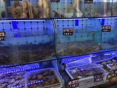-日照大牌檔•小船海鲜(万平口店)