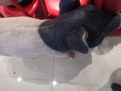 -猪角·闽南猪脚饭(上梅林店)