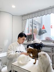 -世田造型