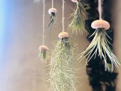 -ZING COFFEE 镜咖啡