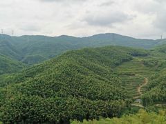-宁波浙东大竹海景区