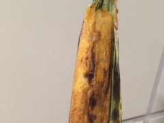 -金珠肉粽