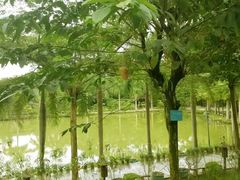 -揭东万竹园旅游景区