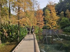 -云溪植物园