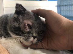 -畜牧兽医站(共江路店)