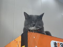 -芭比堂动物医院·CT·微创中心(新顺分院)