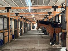 -北京群众马术培训基地