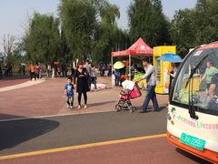 -武清南湖绿博园