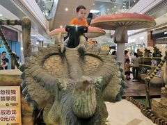 -成都浩海立方海洋公园