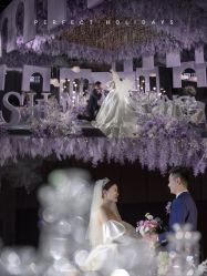 -MECCI婚礼摄影跟拍(红东方广场店)