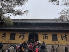 -普陀山风景名胜区-法雨禅寺