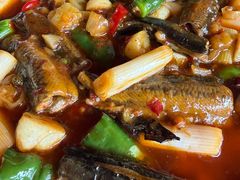 -代木儿回锅肉