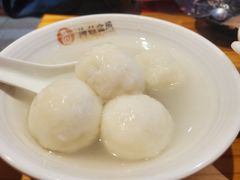 -海丝金凤(金鱼店)