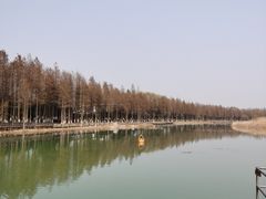 -苏州太湖湖滨国家湿地公园