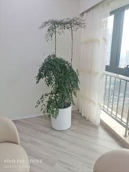 -HEYAN荷妍专业脱毛连锁机构