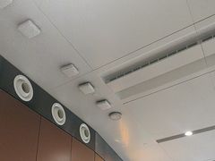 -麦当劳(北京大兴机场二层国内到达(安检外)店)