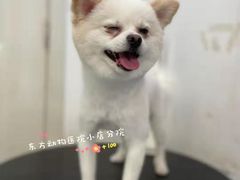 -太原东方动物医院(小店分院)