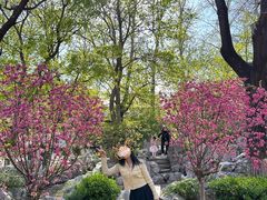 -君庭中餐厅(友谊宾馆店)