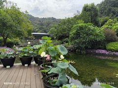 -云溪植物园