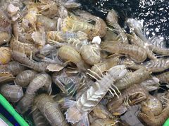 -盒马鲜生(大成店)
