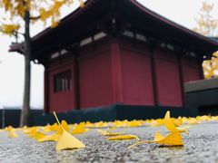-大雁塔北广场音乐喷泉