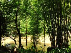 -云溪植物园