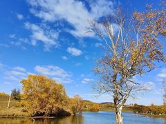 -塞罕坝国家级自然保护区