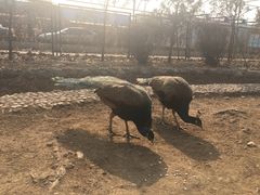 -北京美神宫艺术主题温泉酒店