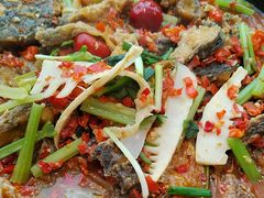 -老板恋上鱼(恒隆广场店)