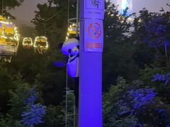 -富斯特索道