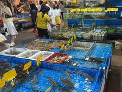 -船奇蒸汽海鲜·闽菜(八市海鲜总店)